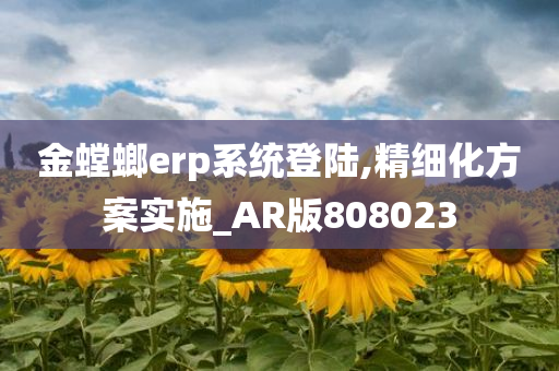 金螳螂erp系统登陆,精细化方案实施_AR版808023