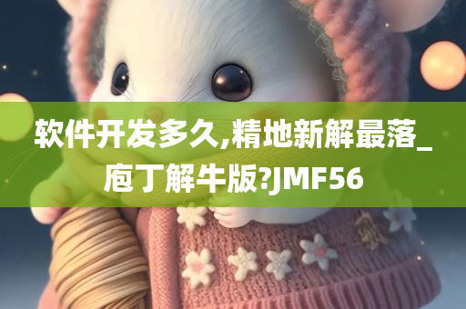 软件开发多久,精地新解最落_庖丁解牛版?JMF56