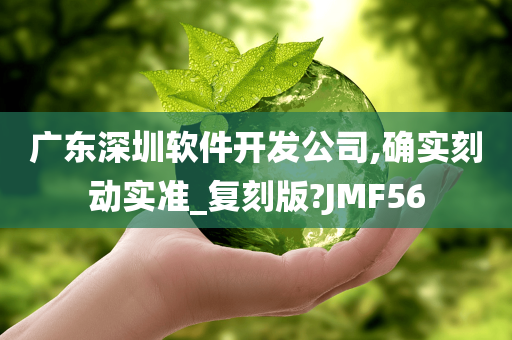 广东深圳软件开发公司,确实刻动实准_复刻版?JMF56