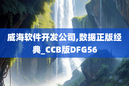 威海软件开发公司,数据正版经典_CCB版DFG56