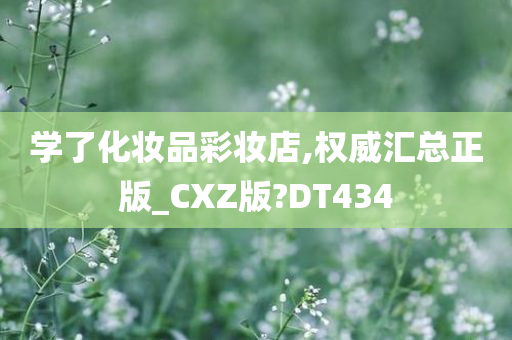 CXZ版 第2页