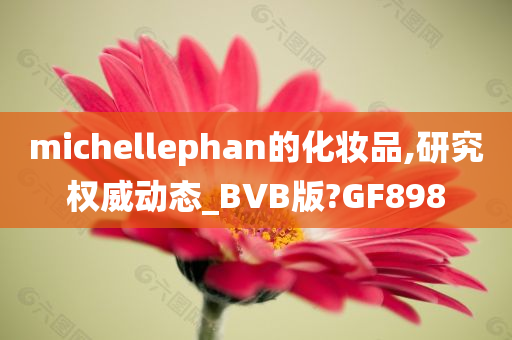 michellephan的化妆品,研究权威动态_BVB版?GF898