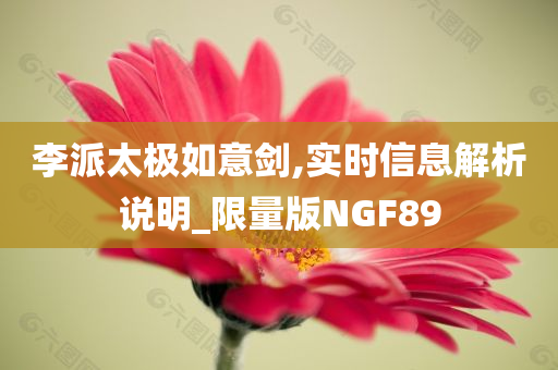 李派太极如意剑,实时信息解析说明_限量版NGF89