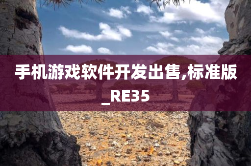 手机游戏软件开发出售,标准版_RE35