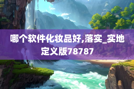 哪个软件化妆品好,落实_实地定义版78787