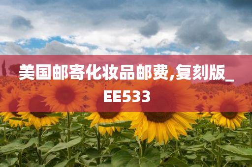 美国邮寄化妆品邮费,复刻版_EE533