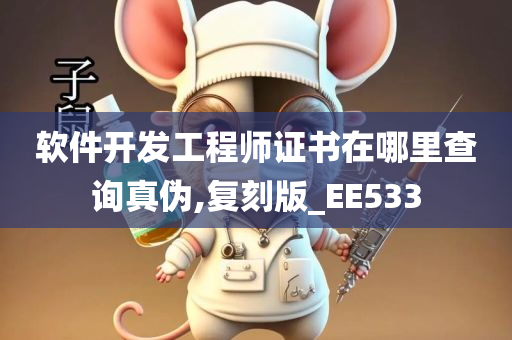 软件开发工程师证书在哪里查询真伪,复刻版_EE533