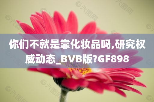 你们不就是靠化妆品吗,研究权威动态_BVB版?GF898