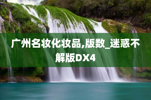 广州名妆化妆品,版数_迷惑不解版DX4