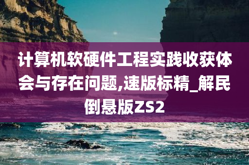 计算机软硬件工程实践收获体会与存在问题,速版标精_解民倒悬版ZS2