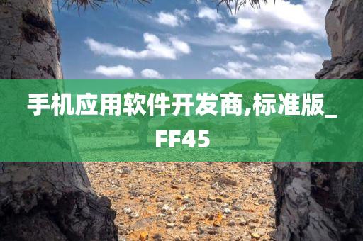 手机应用软件开发商,标准版_FF45