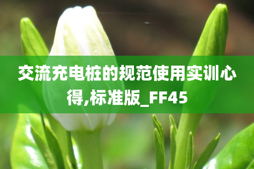 交流充电桩的规范使用实训心得,标准版_FF45