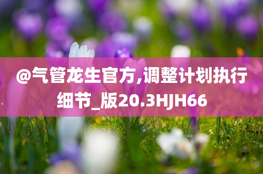 @气管龙生官方,调整计划执行细节_版20.3HJH66