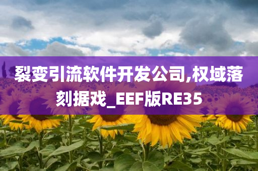 裂变引流软件开发公司,权域落刻据戏_EEF版RE35