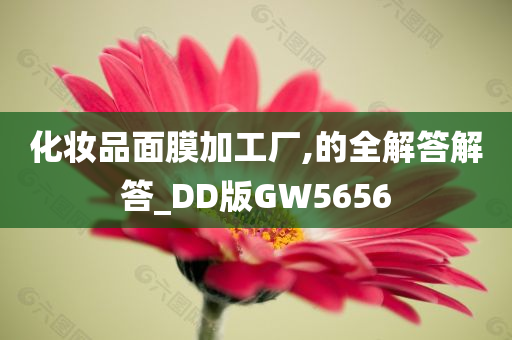 化妆品面膜加工厂,的全解答解答_DD版GW5656