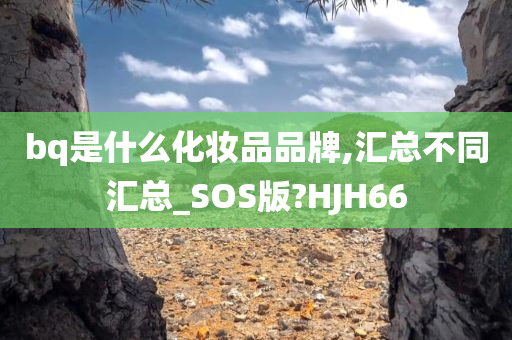 bq是什么化妆品品牌,汇总不同汇总_SOS版?HJH66