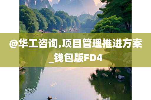 @华工咨询,项目管理推进方案_钱包版FD4