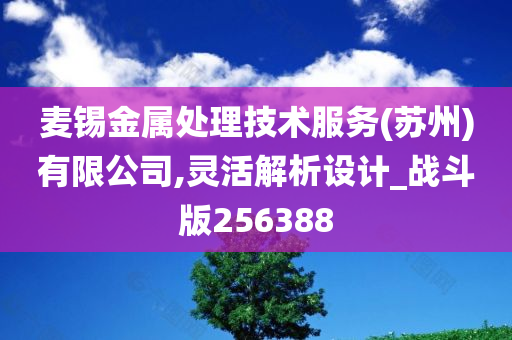 麦锡金属处理技术服务(苏州)有限公司,灵活解析设计_战斗版256388