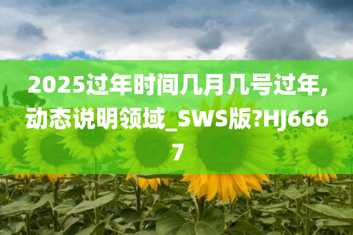 2025过年时间几月几号过年,动态说明领域_SWS版?HJ6667