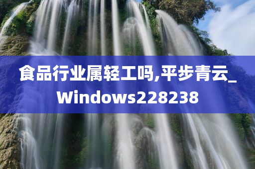 食品行业属轻工吗,平步青云_Windows228238