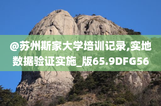 @苏州斯家大学培训记录,实地数据验证实施_版65.9DFG56