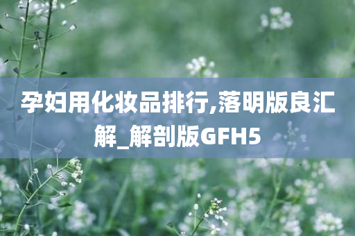 孕妇用化妆品排行,落明版良汇解_解剖版GFH5