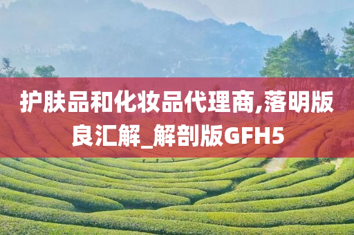 护肤品和化妆品代理商,落明版良汇解_解剖版GFH5