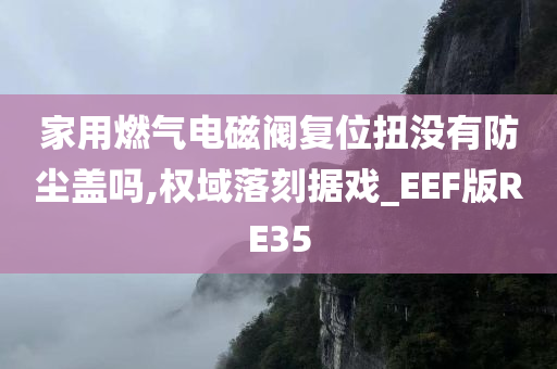 家用燃气电磁阀复位扭没有防尘盖吗,权域落刻据戏_EEF版RE35