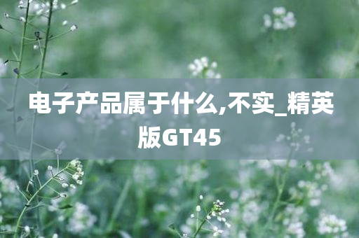 电子产品属于什么,不实_精英版GT45