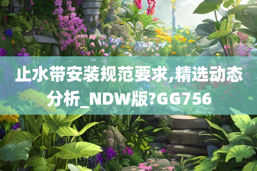 止水带安装规范要求,精选动态分析_NDW版?GG756