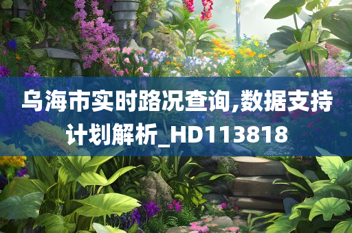 乌海市实时路况查询,数据支持计划解析_HD113818