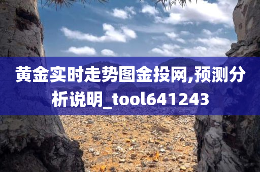 黄金实时走势图金投网,预测分析说明_tool641243