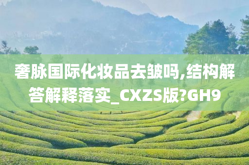 奢脉国际化妆品去皱吗,结构解答解释落实_CXZS版?GH9