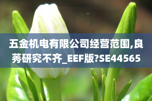 五金机电有限公司经营范围,良莠研究不齐_EEF版?SE44565