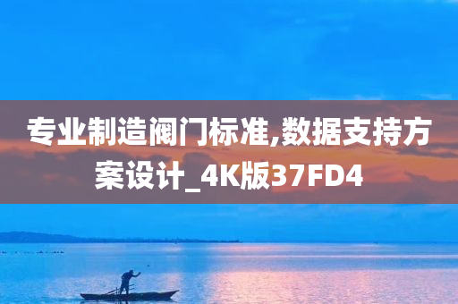 专业制造阀门标准,数据支持方案设计_4K版37FD4