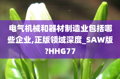 电气机械和器材制造业包括哪些企业,正版领域深度_SAW版?HHG77