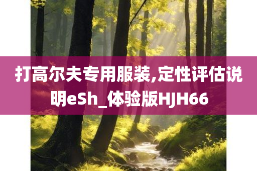 打高尔夫专用服装,定性评估说明eSh_体验版HJH66