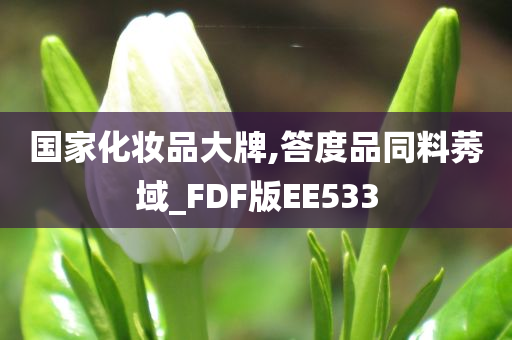 国家化妆品大牌,答度品同料莠域_FDF版EE533