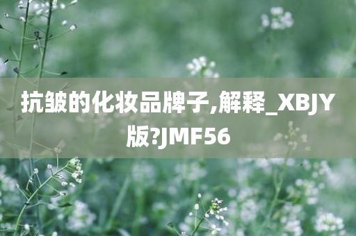 抗皱的化妆品牌子,解释_XBJY版?JMF56