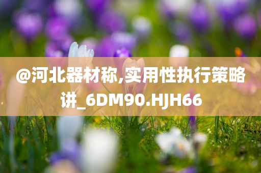 @河北器材称,实用性执行策略讲_6DM90.HJH66