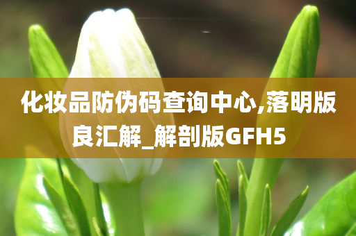 化妆品防伪码查询中心,落明版良汇解_解剖版GFH5