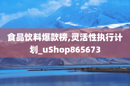 食品饮料爆款榜,灵活性执行计划_uShop865673