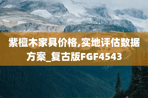 紫檀木家具价格,实地评估数据方案_复古版FGF4543