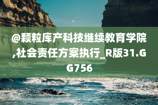 @颗粒库产科技继续教育学院,社会责任方案执行_R版31.GG756