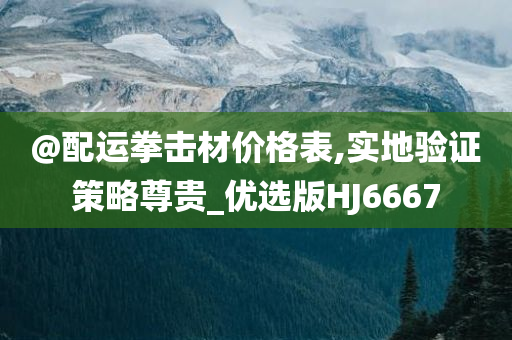 @配运拳击材价格表,实地验证策略尊贵_优选版HJ6667