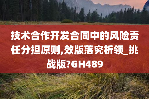 技术合作开发合同中的风险责任分担原则,效版落究析领_挑战版?GH489