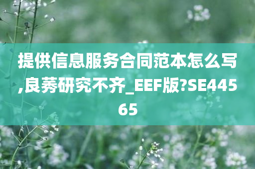 提供信息服务合同范本怎么写,良莠研究不齐_EEF版?SE44565