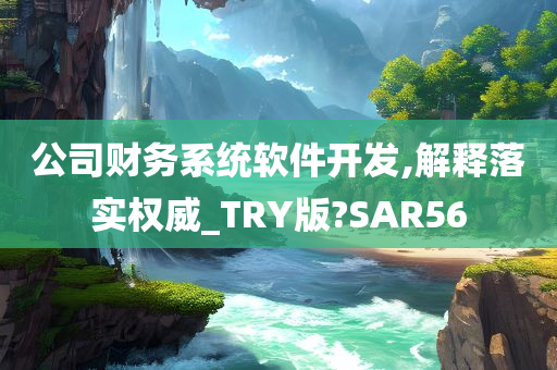 公司财务系统软件开发,解释落实权威_TRY版?SAR56