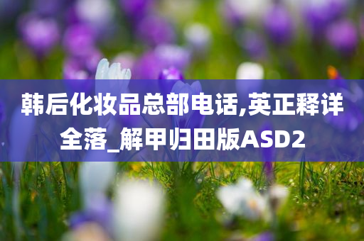 韩后化妆品总部电话,英正释详全落_解甲归田版ASD2