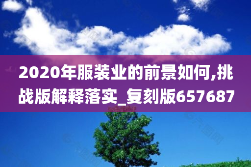 2020年服装业的前景如何,挑战版解释落实_复刻版657687